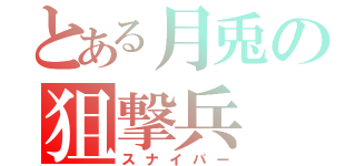 とある月兎の狙撃兵（スナイパー）