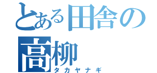 とある田舎の高柳（タカヤナギ）