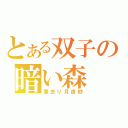 とある双子の暗い森（置去り月夜紗）