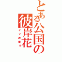 とある公国の彼岸花Ⅱ（イフ改乗り）