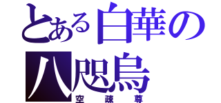 とある白華の八咫烏（空疎尊）