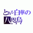 とある白華の八咫烏（空疎尊）