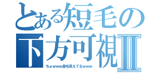 とある短毛の下方可視Ⅱ（ちょｗｗｗ鼻毛見えてるｗｗｗ）