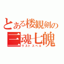 とある楼観剣の三魂七魄（ラストスペル）