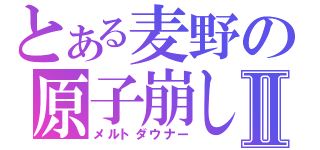 とある麦野の原子崩しⅡ（メルトダウナー）