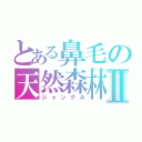 とある鼻毛の天然森林Ⅱ（ジャングル）