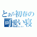 とある初春の可愛い寝顔（写真集にしたい）