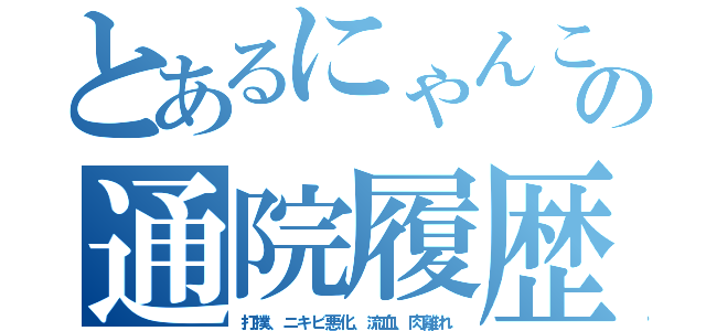 とあるにゃんこの通院履歴（打撲、ニキビ悪化、流血、肉離れ）