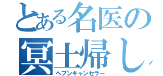 とある名医の冥土帰し（ヘブンキャンセラー）