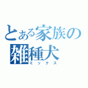 とある家族の雑種犬（ミックス）