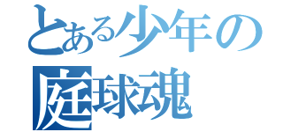 とある少年の庭球魂（）