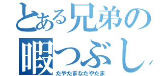 とある兄弟の暇つぶし（たやたまなたやたま）