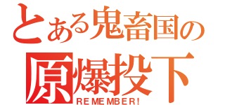 とある鬼畜国の原爆投下（ＲＥＭＥＭＢＥＲ！）