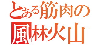 とある筋肉の風林火山（）