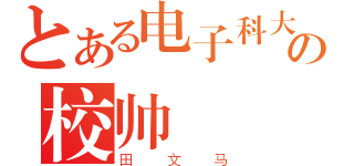 とある电子科大の校帅（田文马）