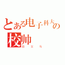 とある电子科大の校帅（田文马）