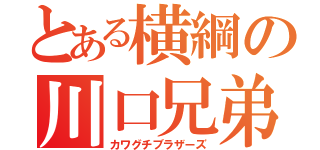 とある横綱の川口兄弟（カワグチブラザーズ）