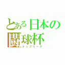 とある日本の闘球杯（トップリーグ）