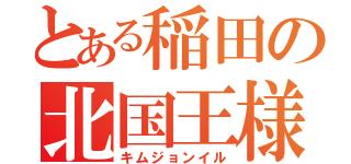 とある稲田の北国王様（キムジョンイル）