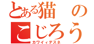 とある猫のこじろう（カワイィデスネ）