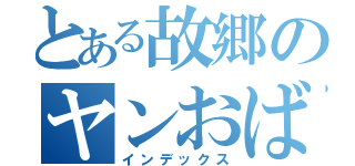 とある故郷のヤンおばさん（インデックス）