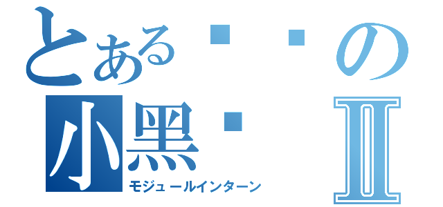 とある咖啡の小黑貓Ⅱ（モジュールインターン）