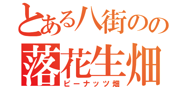 とある八街のの落花生畑（ピーナッツ畑）