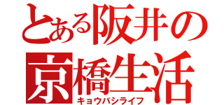 とある阪井の京橋生活（キョウバシライフ）