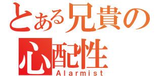 とある兄貴の心配性（Ａｌａｒｍｉｓｔ）