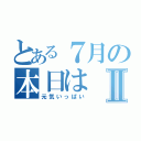 とある７月の本日はⅡ（元気いっぱい）