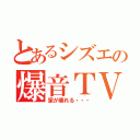 とあるシズエの爆音ＴＶ（家が壊れる・・・）