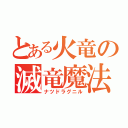 とある火竜の滅竜魔法（ナツドラグニル）