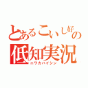 とあるこいし好きの低知実況（ニワカハイシン）