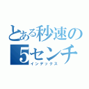 とある秒速の５センチメートル（インデックス）