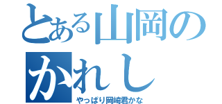 とある山岡のかれし（やっぱり岡崎君かな）