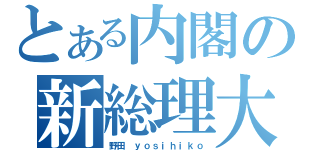 とある内閣の新総理大臣（野田 ｙｏｓｉｈｉｋｏ）