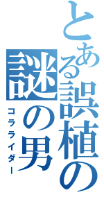 とある誤植の謎の男（コラライダー）