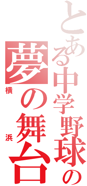 とある中学野球の夢の舞台（横浜）