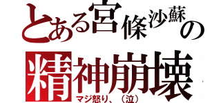 とある宮條沙蘇の精神崩壊（マジ怒り、（泣））