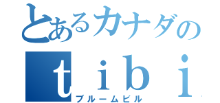 とあるカナダのｔｉｂｉｌｌ（ブルームビル）