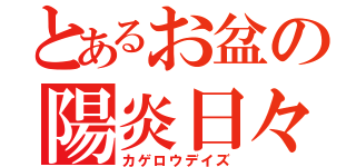 とあるお盆の陽炎日々（カゲロウデイズ）