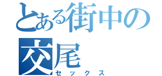 とある街中の交尾（セックス）