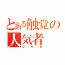 とある触覚の人気者（ひかる）