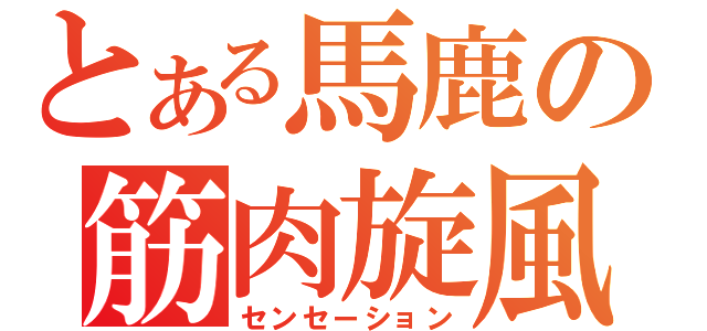 とある馬鹿の筋肉旋風（センセーション）