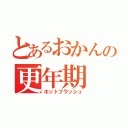 とあるおかんの更年期（ホットフラッシュ）