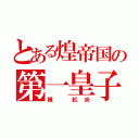 とある煌帝国の第一皇子（練 紅炎）