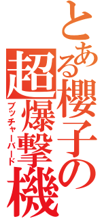 とある櫻子の超爆撃機（ブッチャーバード）