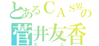 とあるＣＡＳ界の菅井友香（たこ）