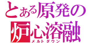 とある原発の炉心溶融（メルトダウン）