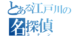 とある江戸川の名探偵（コナン）